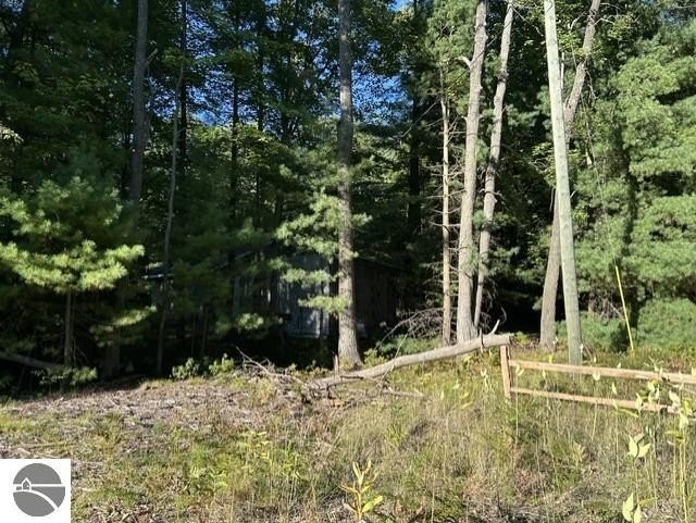 Picture 19