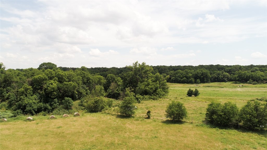 Picture 23