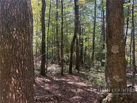 Unrestricted Land Near Blue Ridge