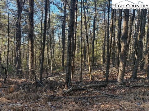 Unrestricted Land Near Blue Ridge