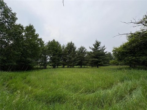 38-Acre Land with Rolling Hills