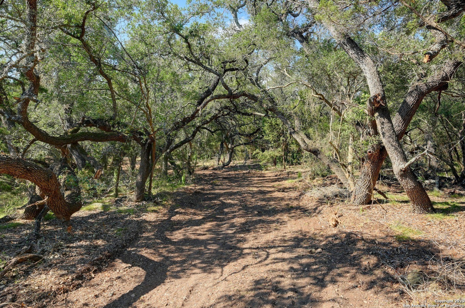 Unrestricted Hill Country Land