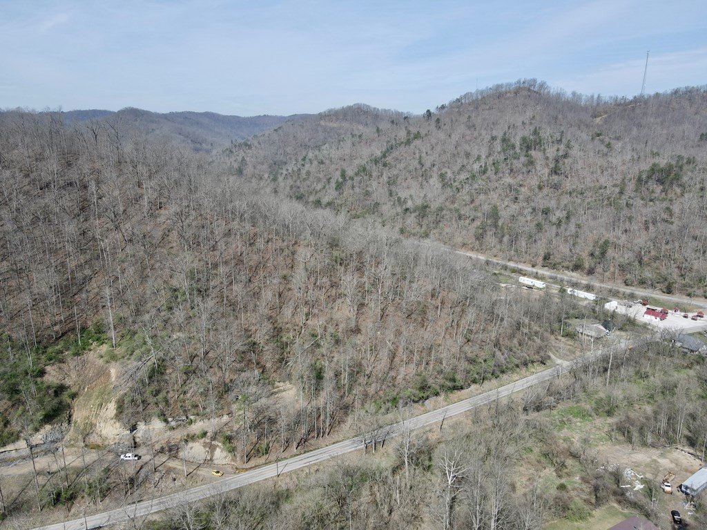 Picture 41
