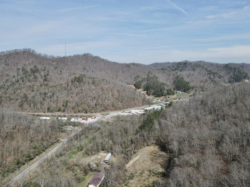 Picture 45