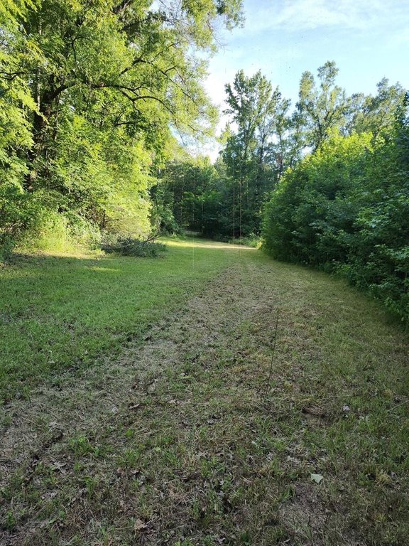 Picture 16