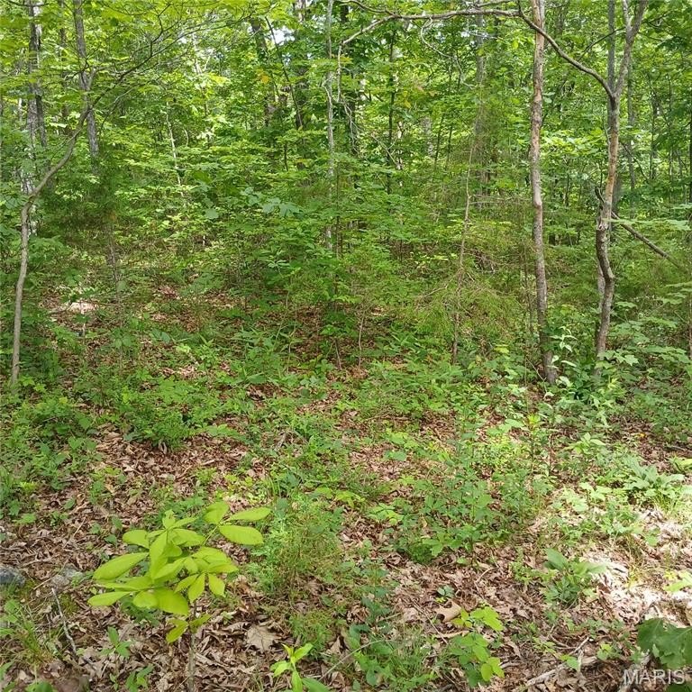 Picture 3