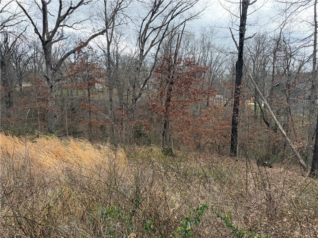 Bella Vista Land For Sale