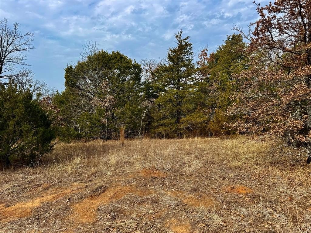 88 Acres of Texas Land