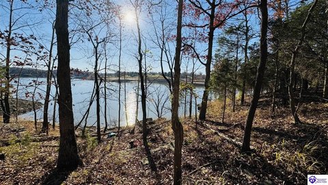 Rough River Lakefront Acreage