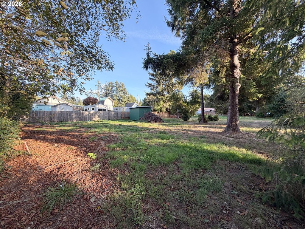 Picture 2