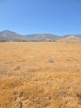 Undeveloped Land in Weldon, CA