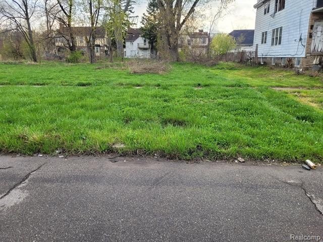 Picture 3