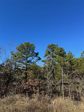 LAND - Broken Bow, OK