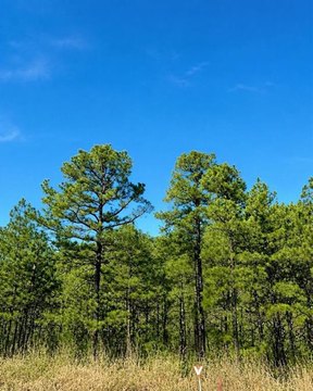 Land, Broken Bow, OK