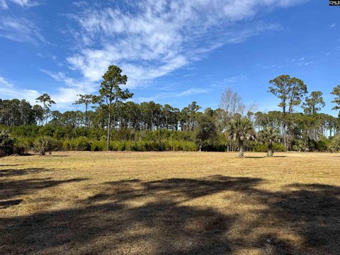 LAND - Edisto Island, SC
