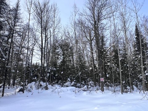 Eagle River Land Parcel For Sale