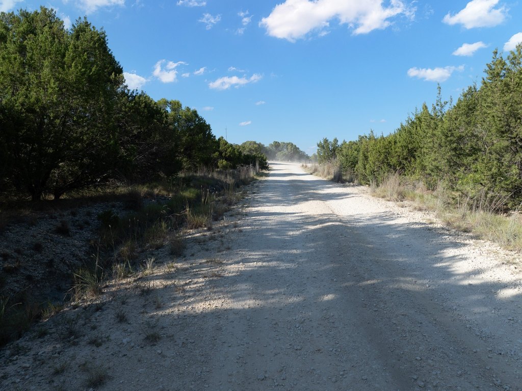 Picture 23
