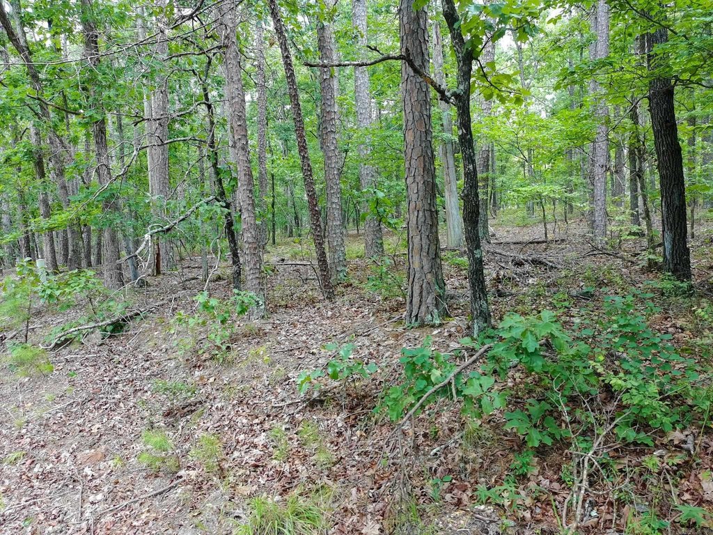 Picture 10
