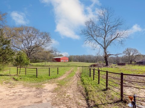 LAND - Gilmer, TX