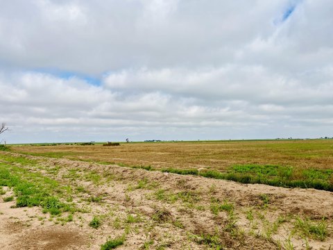 11.1 Acres South of Levelland