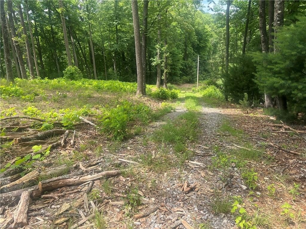 Picture 14