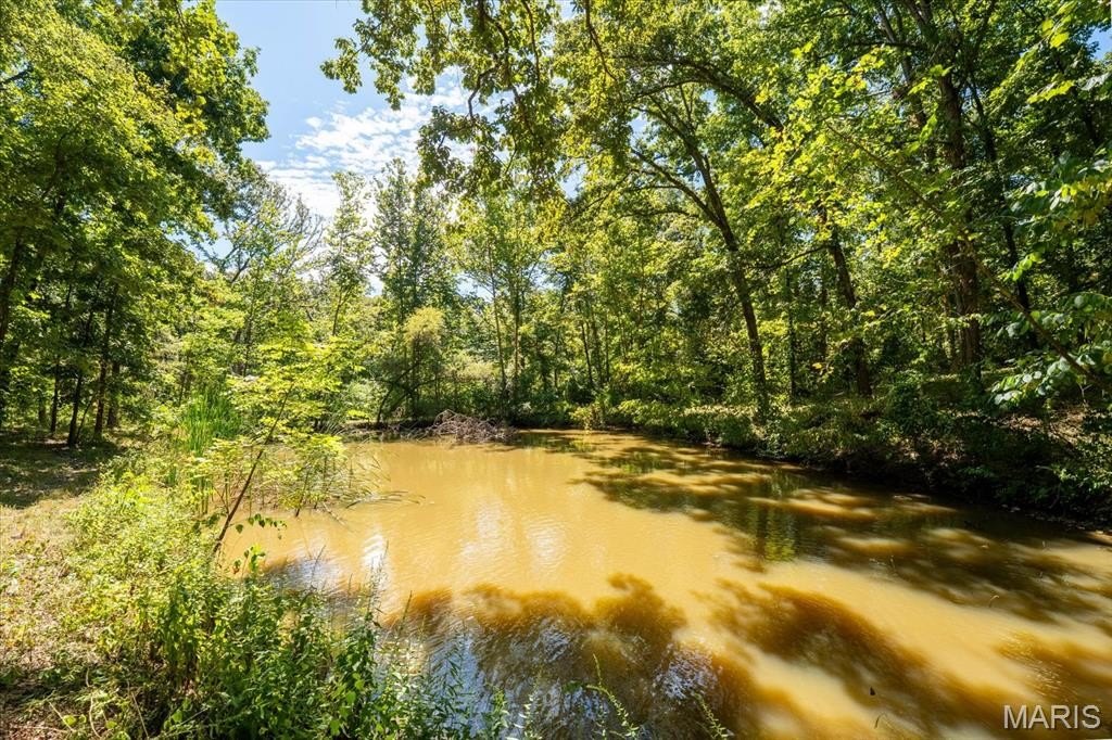 Beautiful 5-Acre Parcel in Waterloo