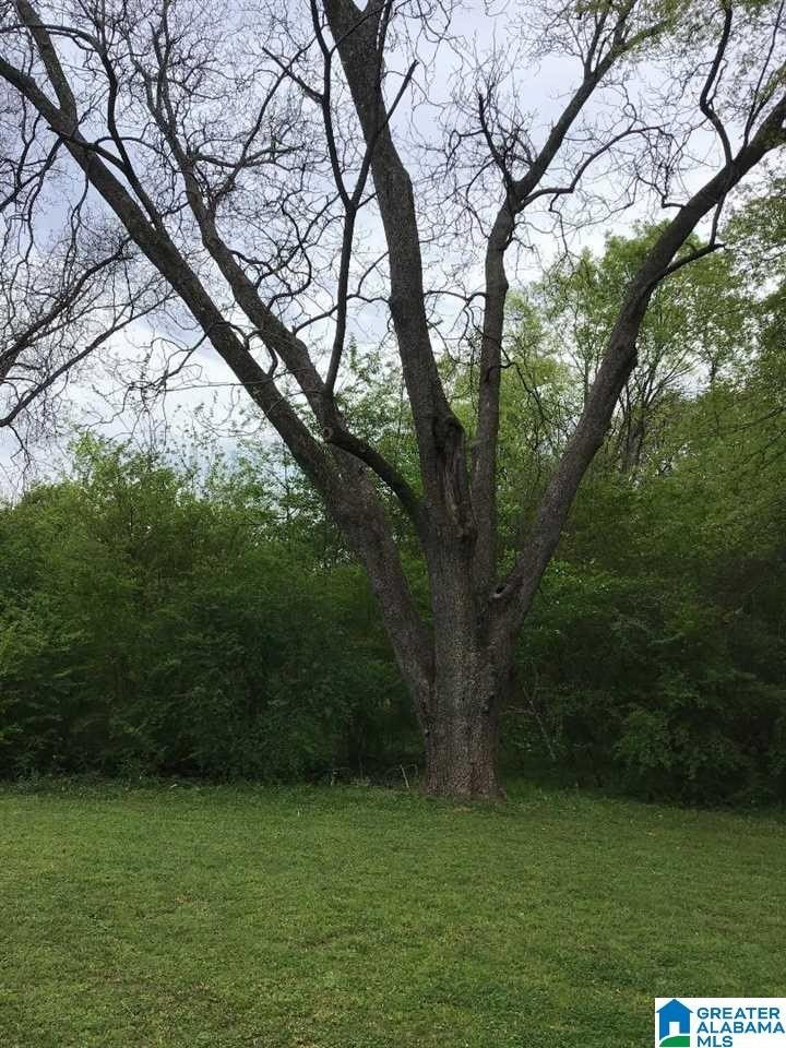 Land in Pleasant Grove, AL