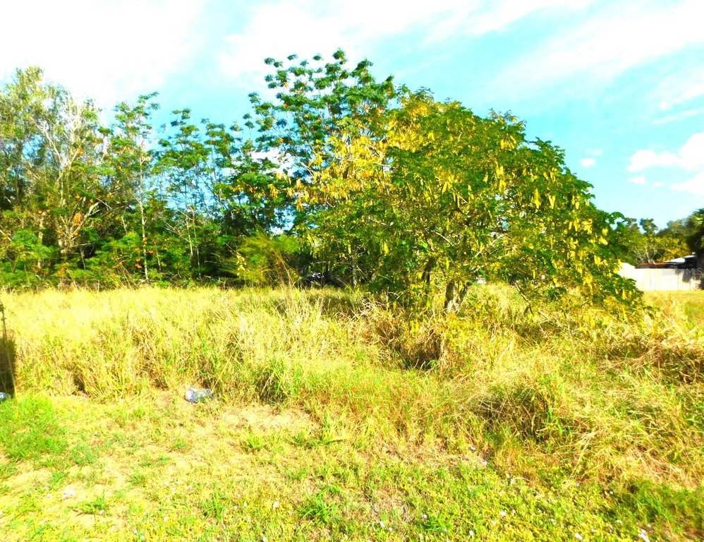 Picture 30