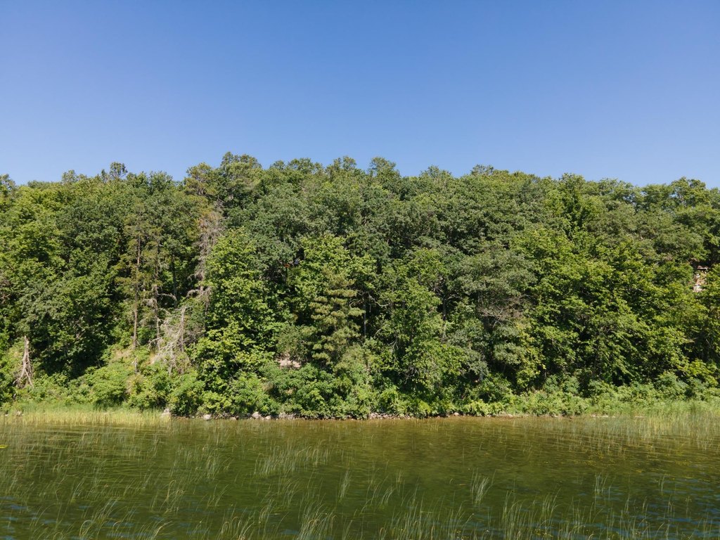 Picture 8