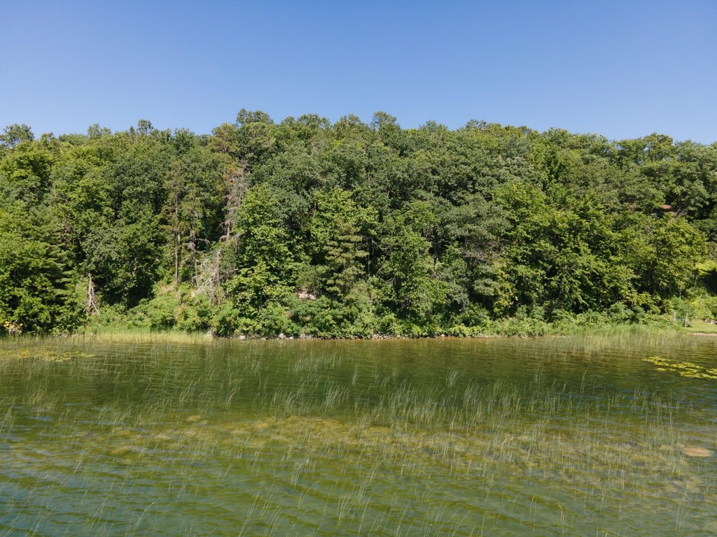 Picture 7