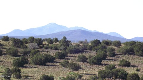 12-Acre Parcel in Howard Mesa