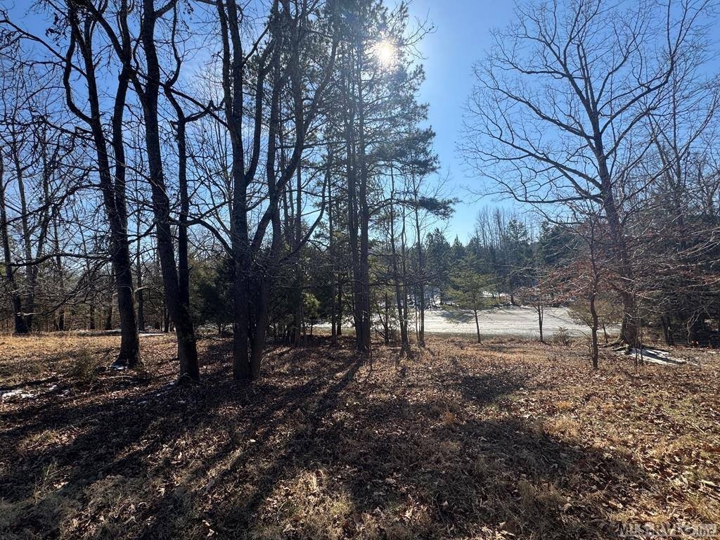 Unrestricted Land with Private Pond