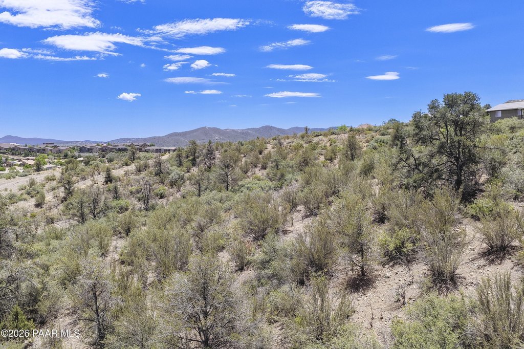 Picture 39