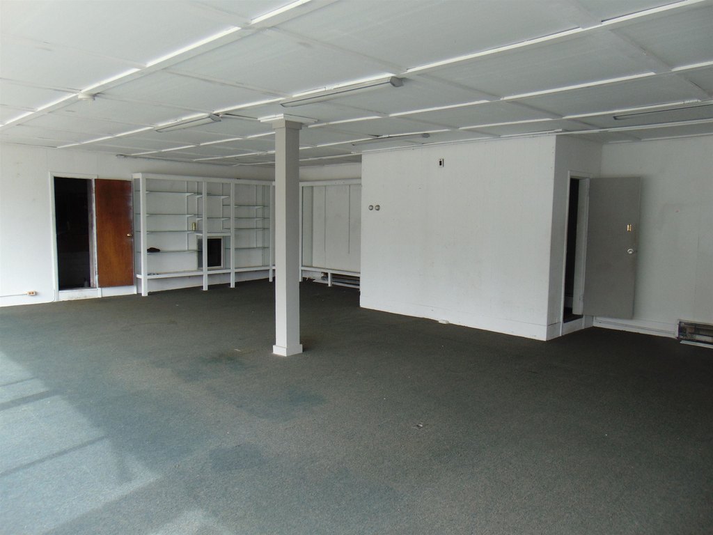 Picture 8