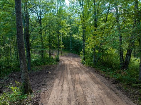 Vacant Lot on Lipsett Lake
