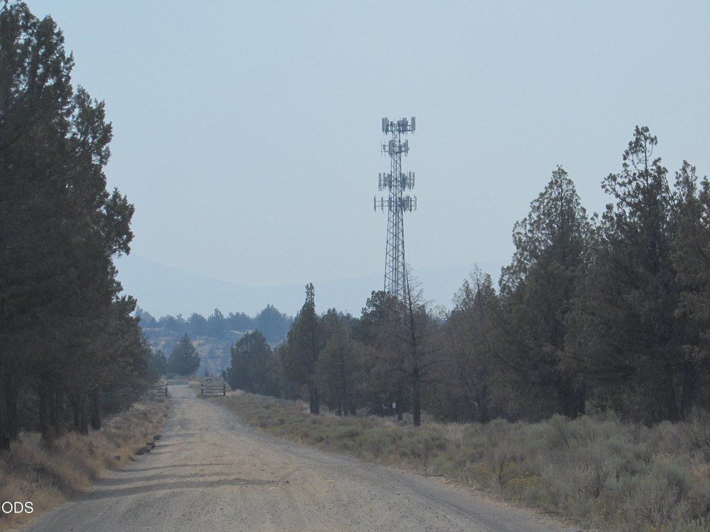 Picture 21