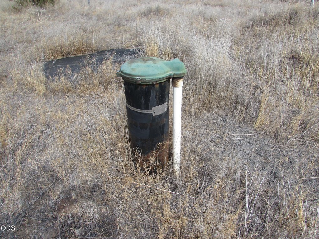 Picture 12