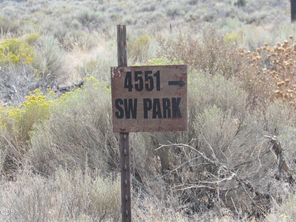 Picture 20