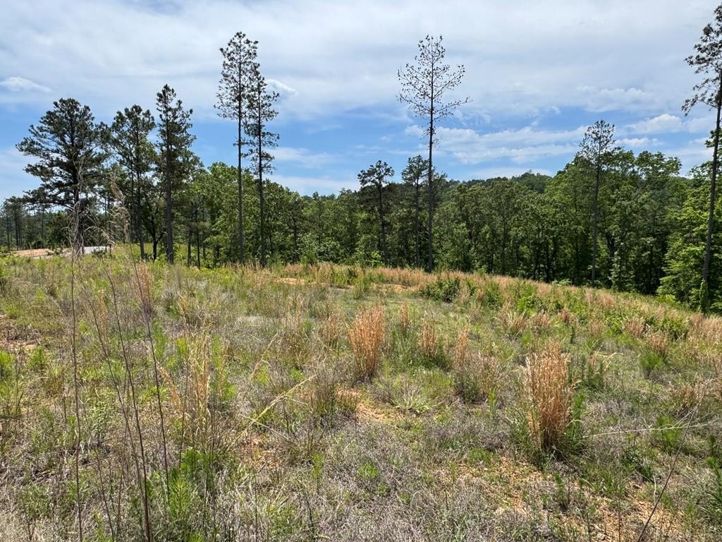 Talking Rock Vacant Lot For Sale