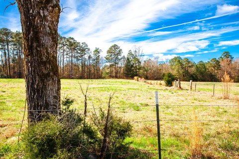 Nine Acre Pasture Land