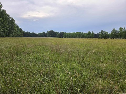 Vacant Acreage Homesite with Creek