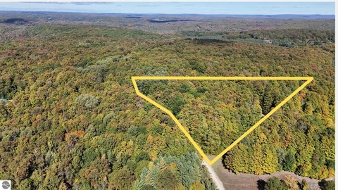 Vacant Lot/Land, Bellaire, MI