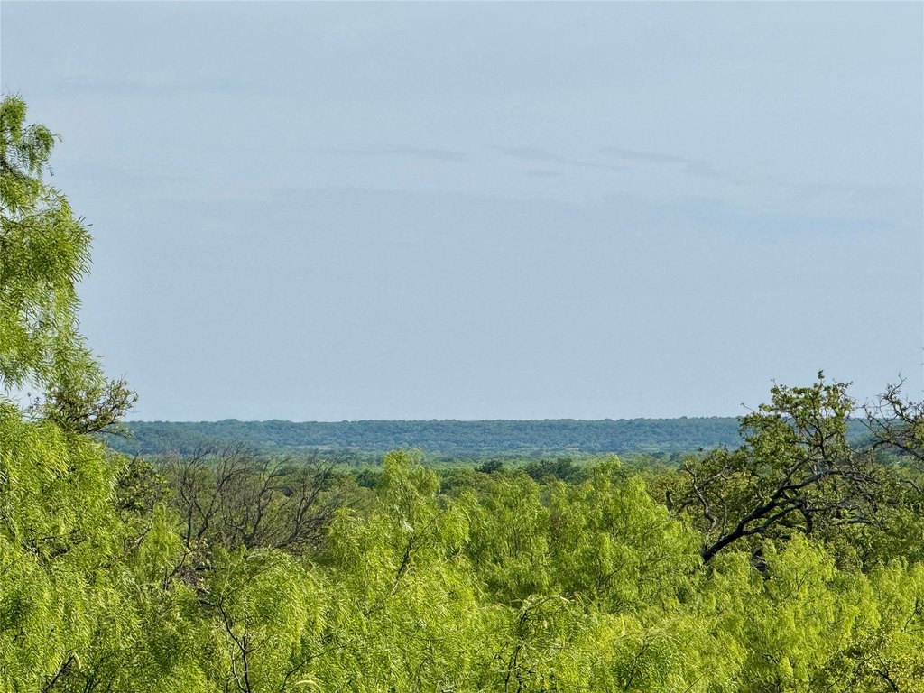 Picture 29