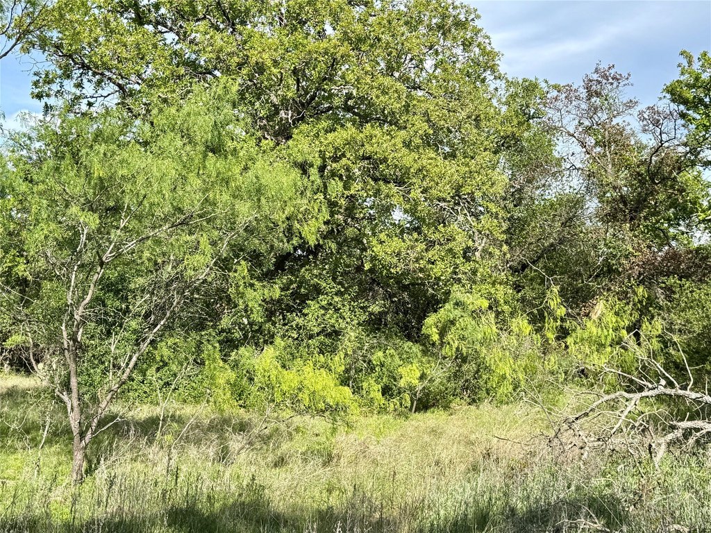 Picture 38