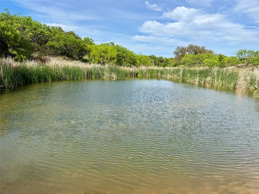 Picture 28