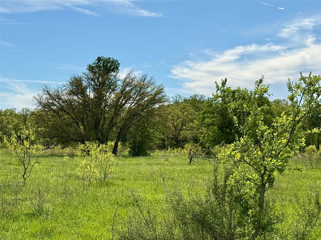 Picture 23