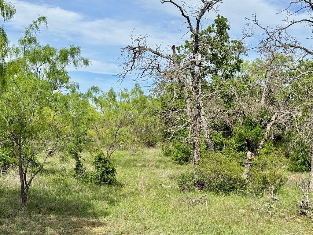 Picture 16
