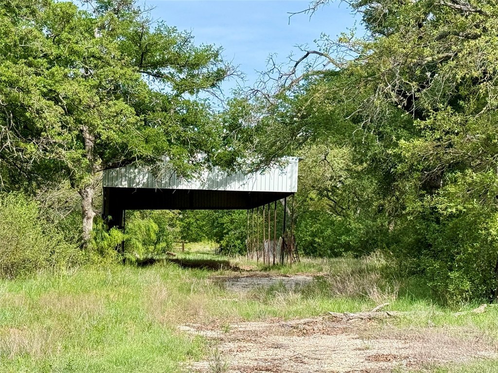 Picture 4
