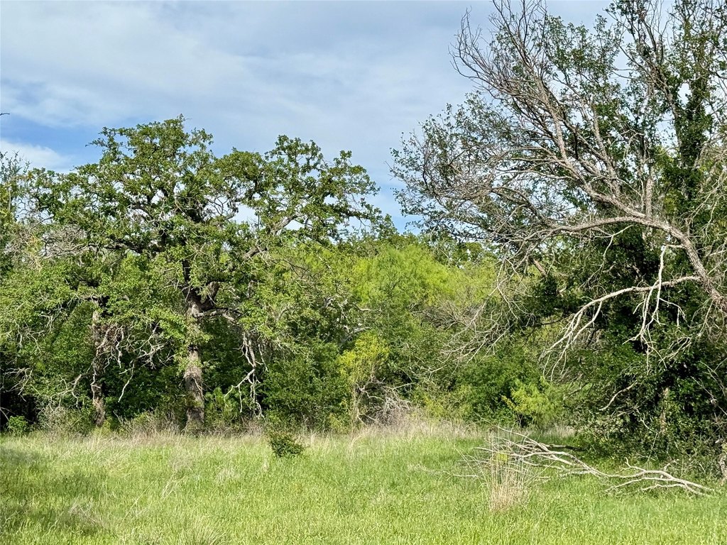 Picture 25
