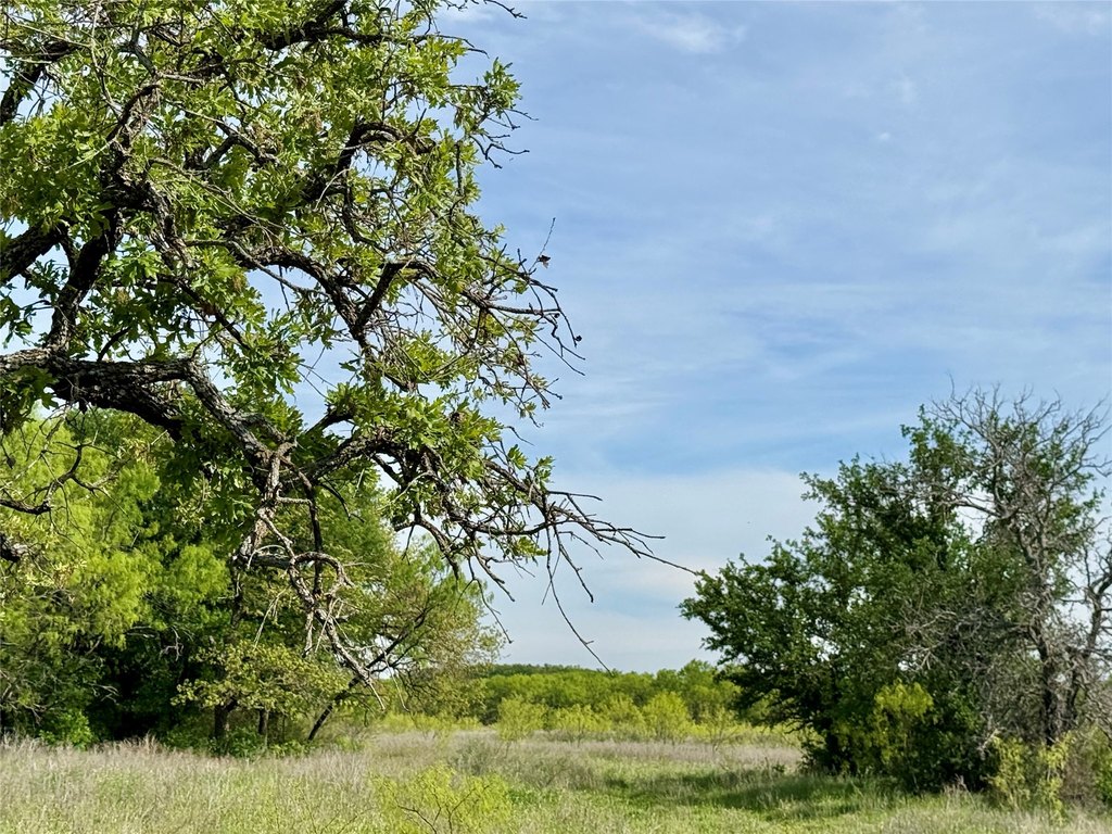 Picture 26